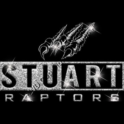 GLT55 SILVER GLITTER Thumbnail